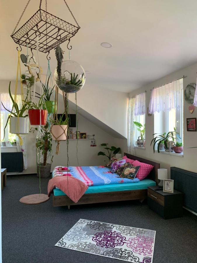Penzion Villa Amélie Mladá Boleslav Extérieur photo